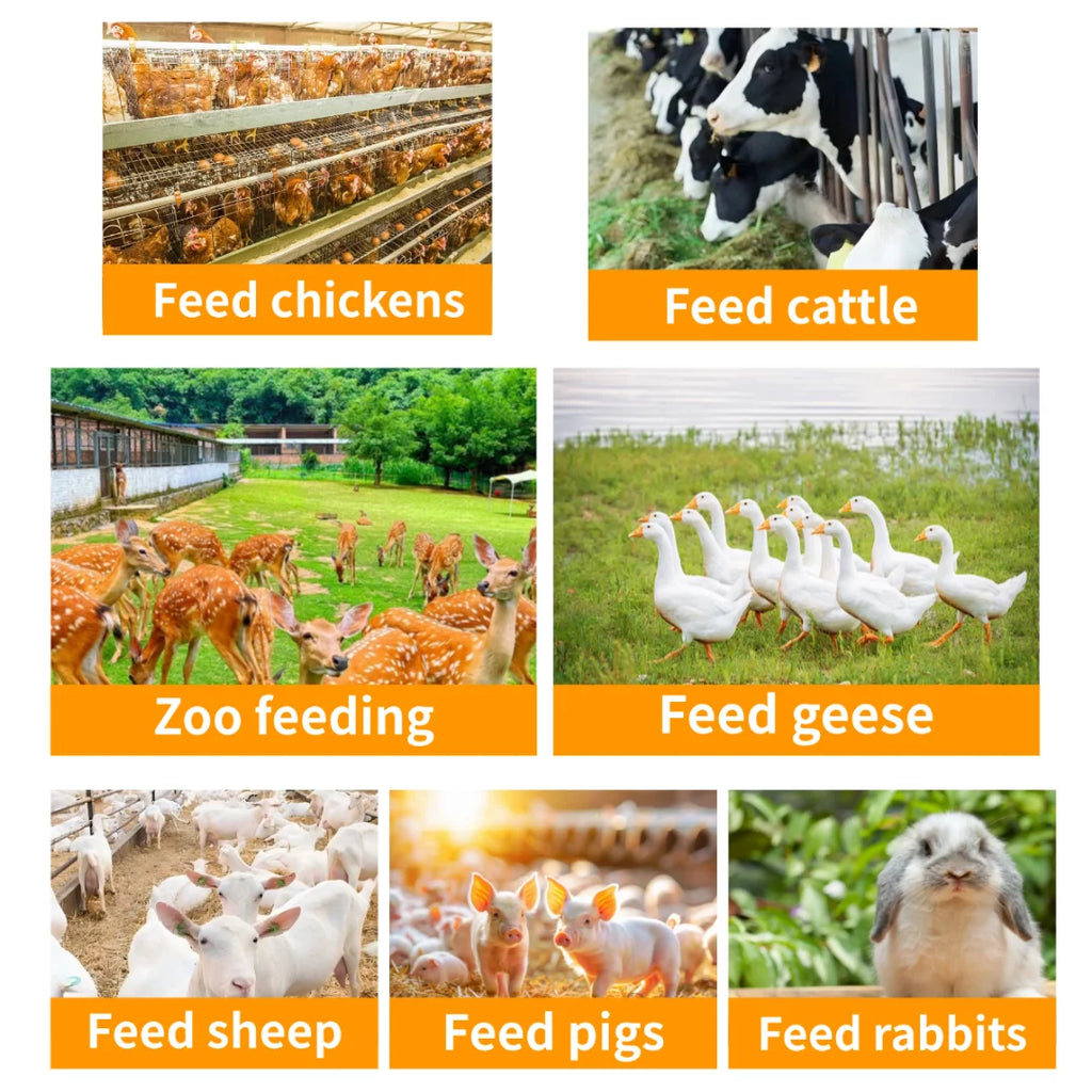 New Stainless Steel Vegetable Chopper Shredder Machine High Efficiency 2 Ton/H Capacity Electric Poultry Livestock Animal Feed