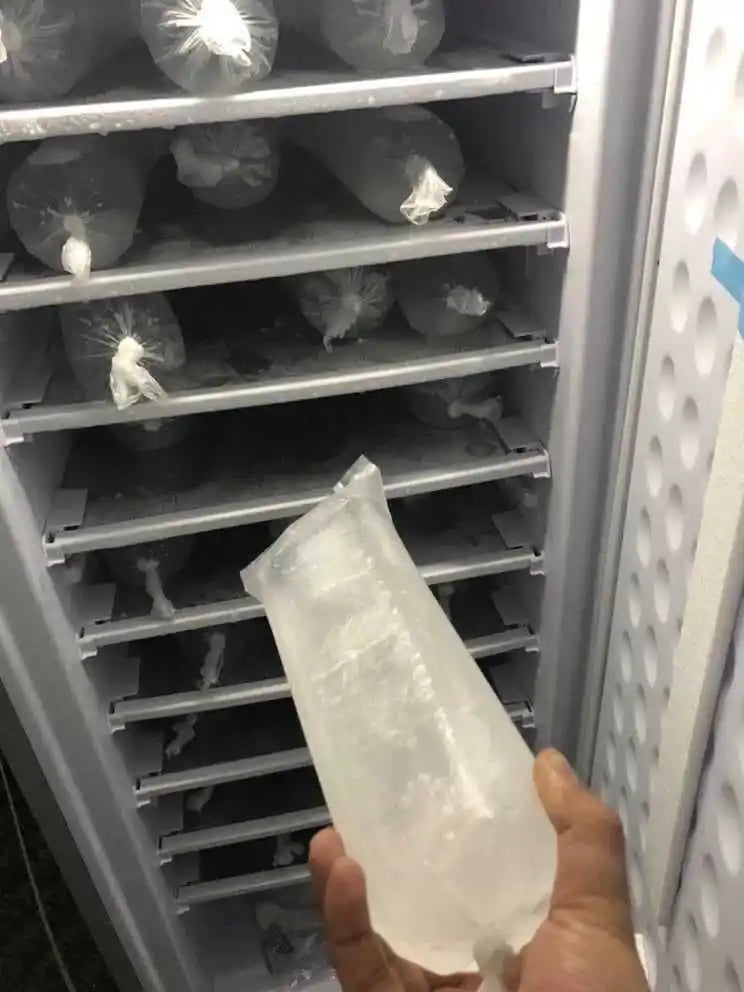198L DC 24V Commercial Ice Block Bag Maker Ice Making Machine Refrigerator Upright Freezer Solar Panel Gel Battery 70kg/24 Hours