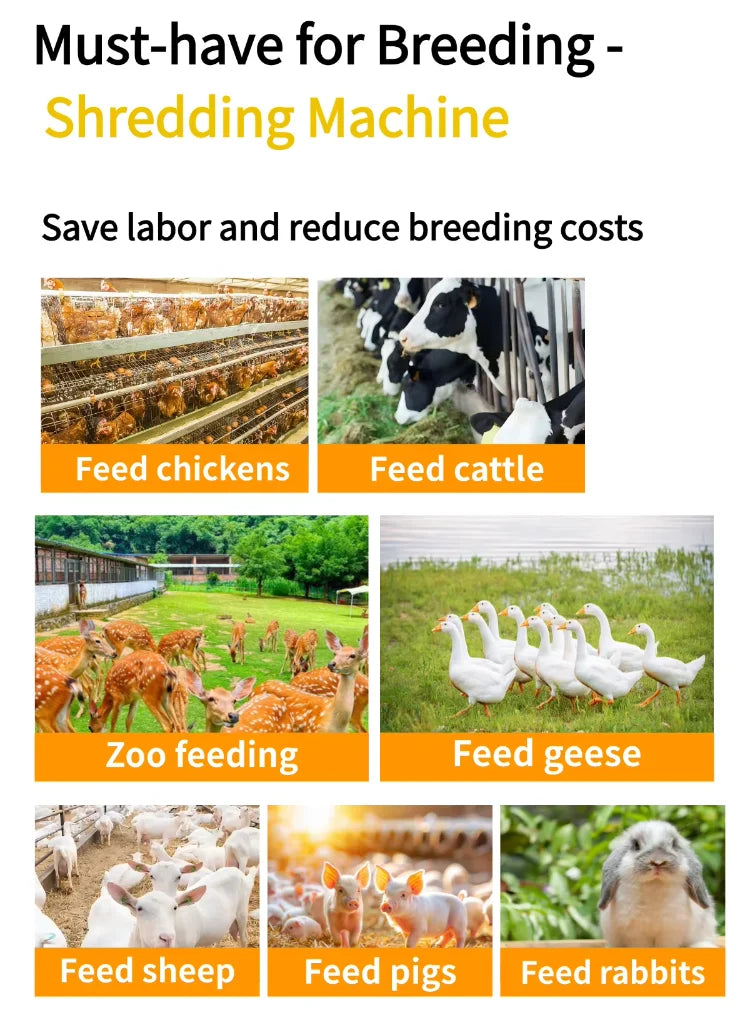 New Stainless Steel Vegetable Chopper Shredder Machine High Efficiency 2 Ton/H Capacity Electric Poultry Livestock Animal Feed