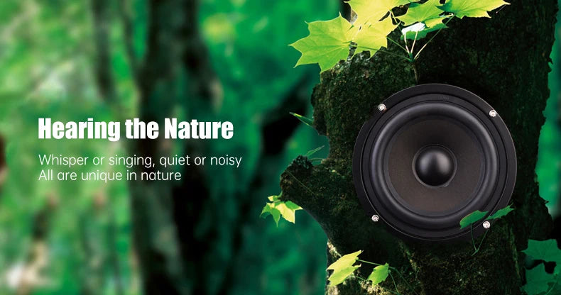 5.1 Passive Home Theater Wooden Speaker